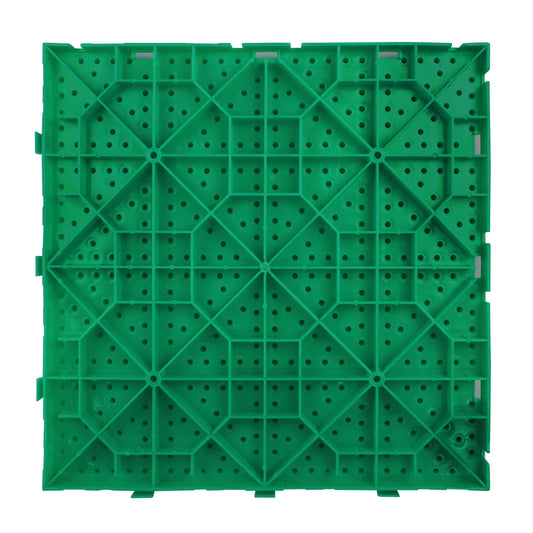 Skiing on a Dry Slope | Back | Weidan