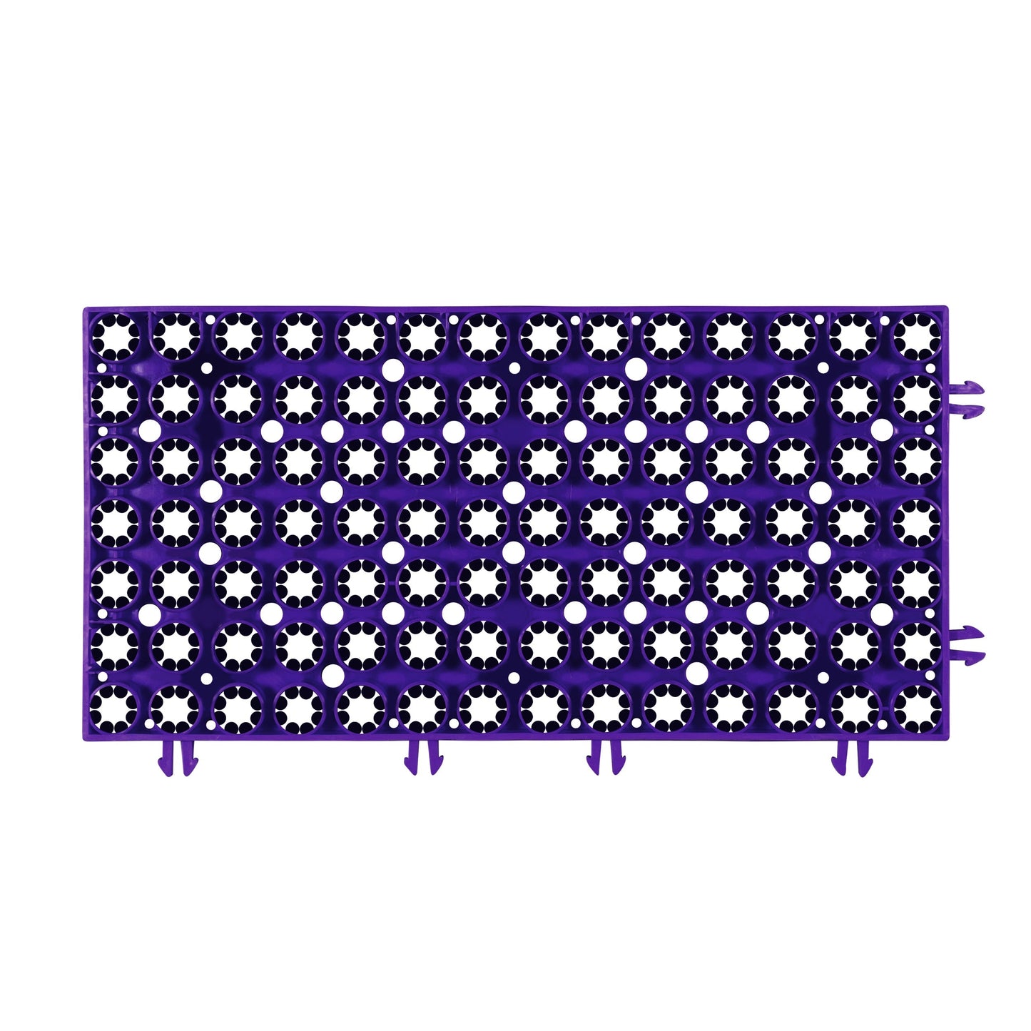 Skiing on a Dry Slope | Purple | Weidan