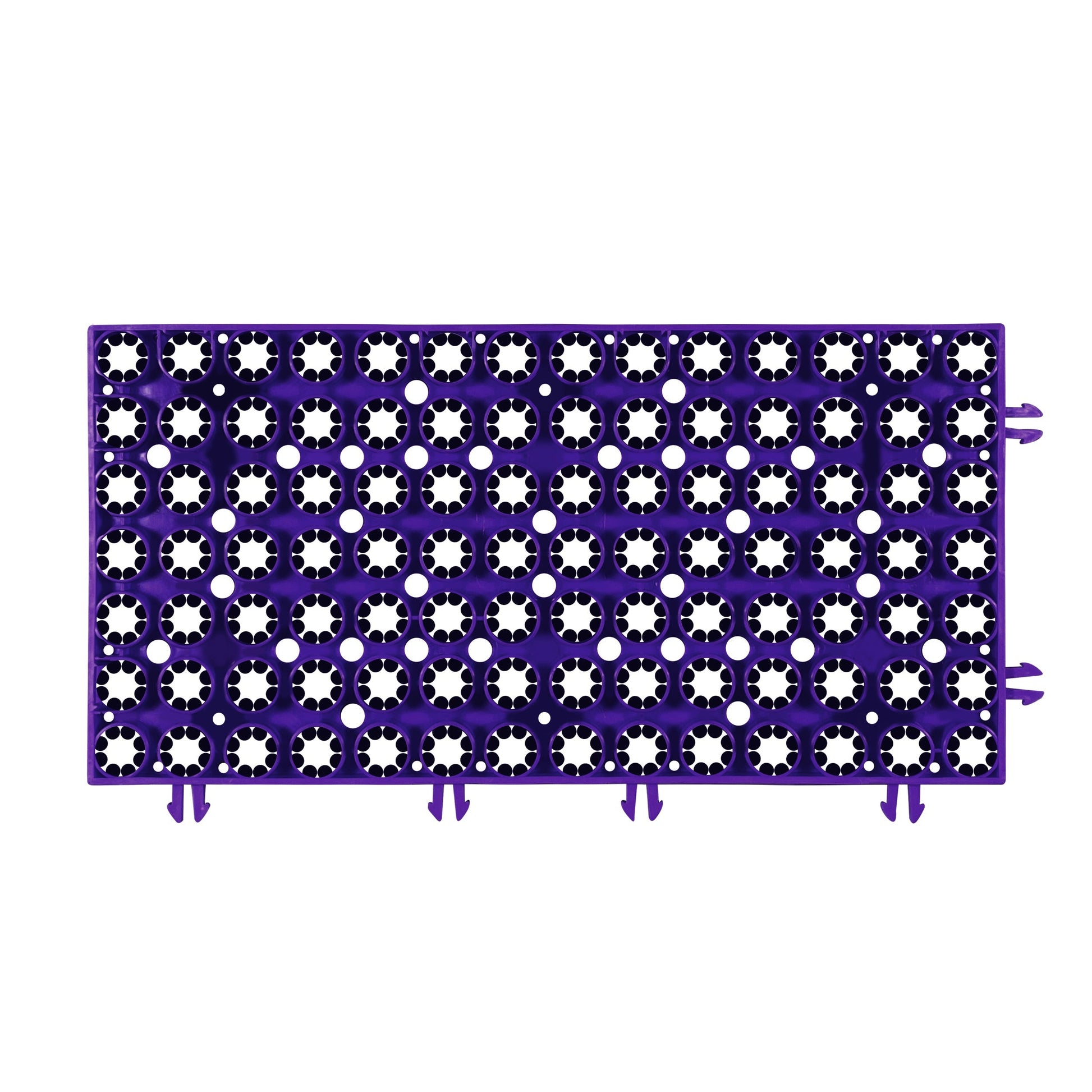 Skiing on a Dry Slope | Purple | Weidan
